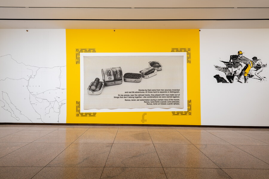 Celia Álvarez Muñoz: El Límite | Amon Carter Museum of American Art